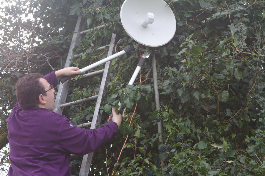 Elagage des branches dans l'axe des liens
radio